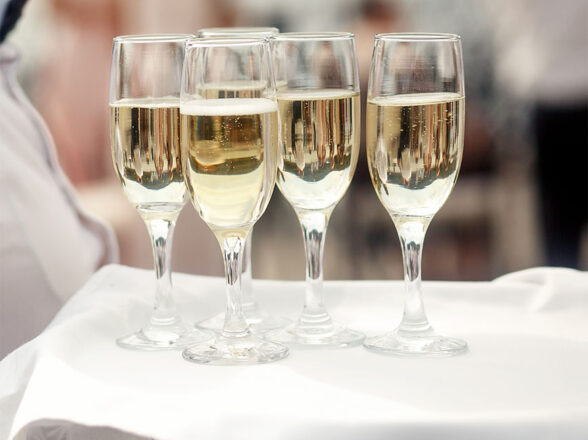 Everything bagel dinner rolls